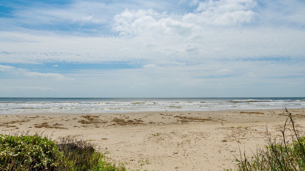 Photo of Others in Galveston