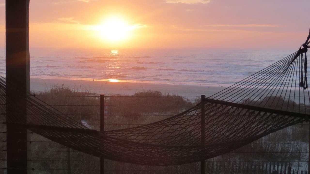 Photo of Others in Galveston