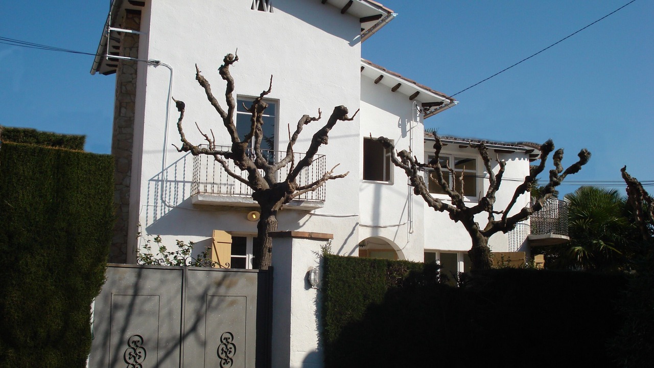 Photo of Outdoor in Arbucies