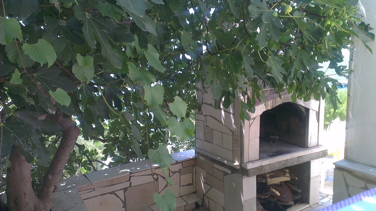 Photo of Outdoor in Komarna