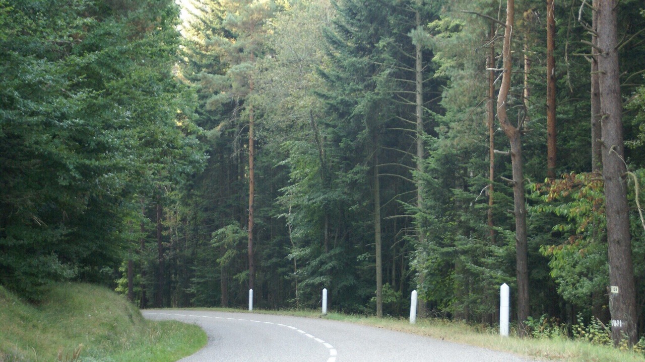 Photo of Others in Bousseviller