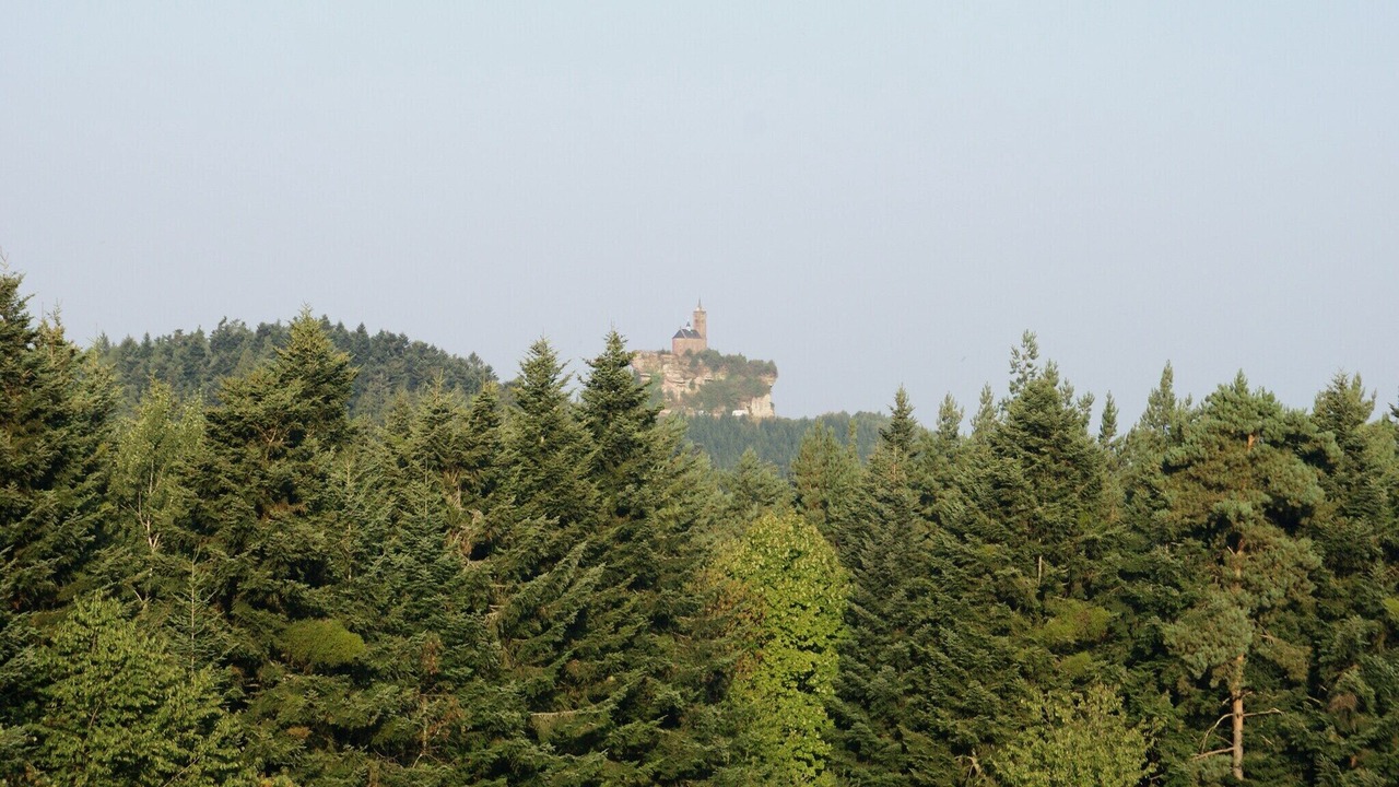 Photo of Others in Bousseviller