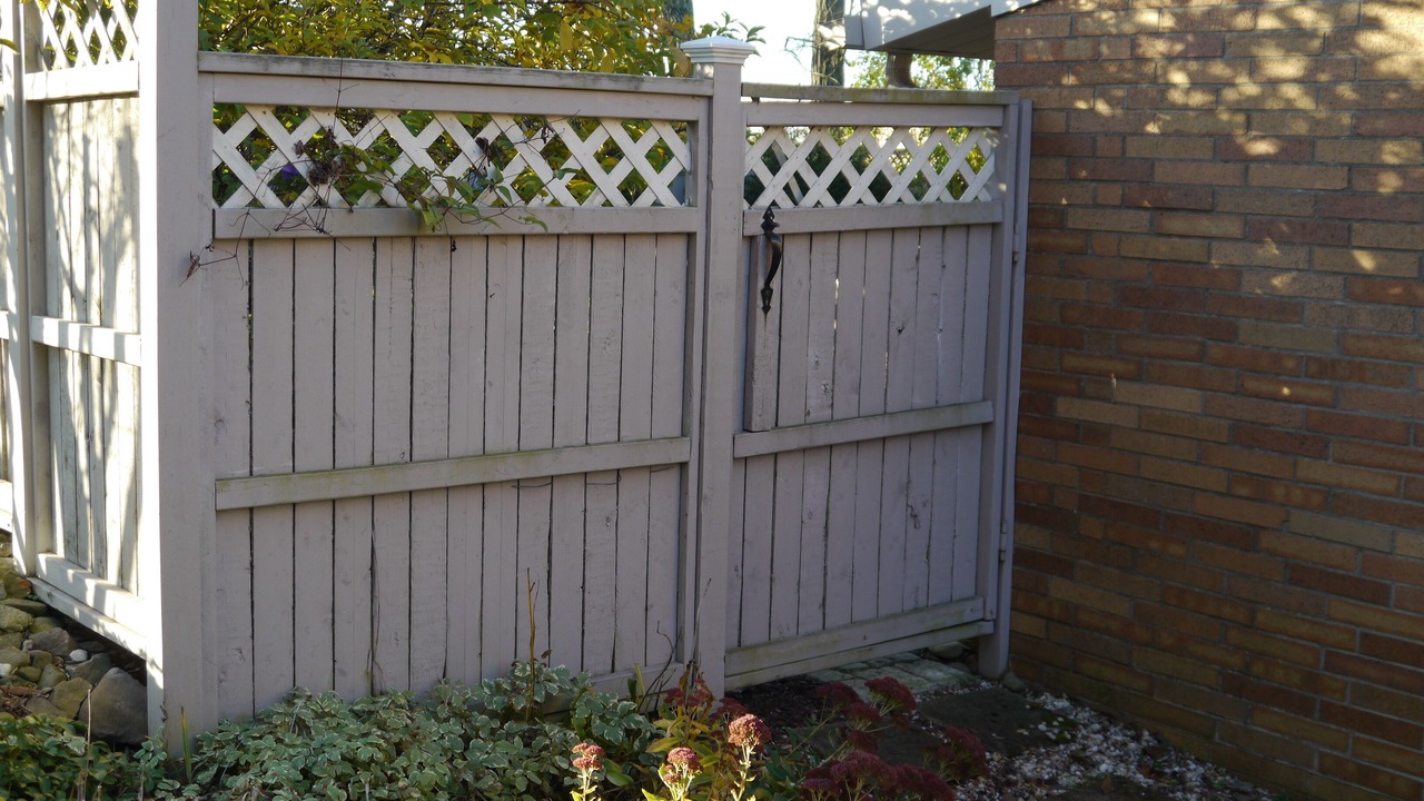 Photo of Others in Green Tree