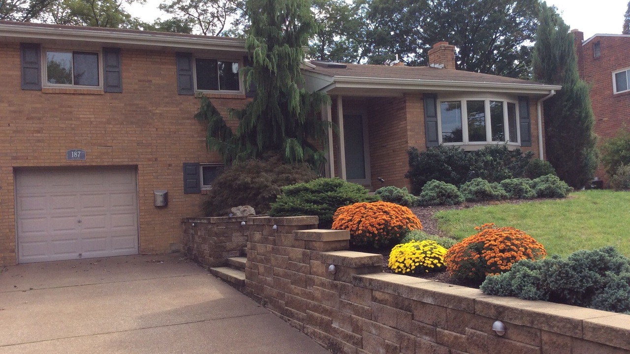 Photo of Others in Green Tree