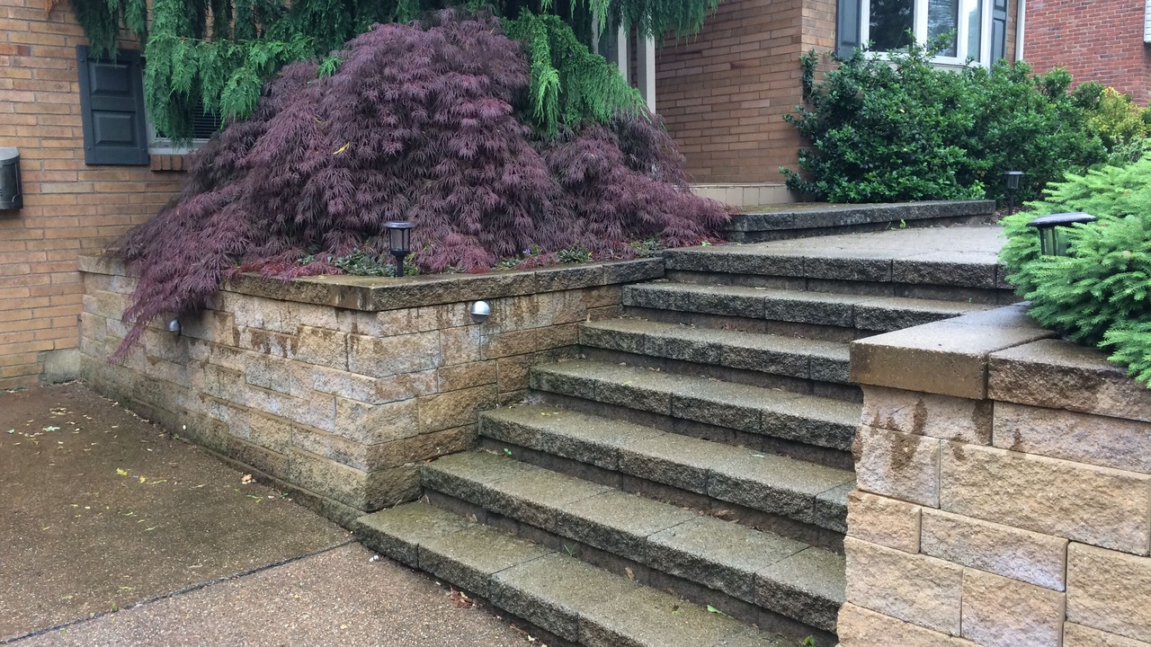 Photo of Others in Green Tree