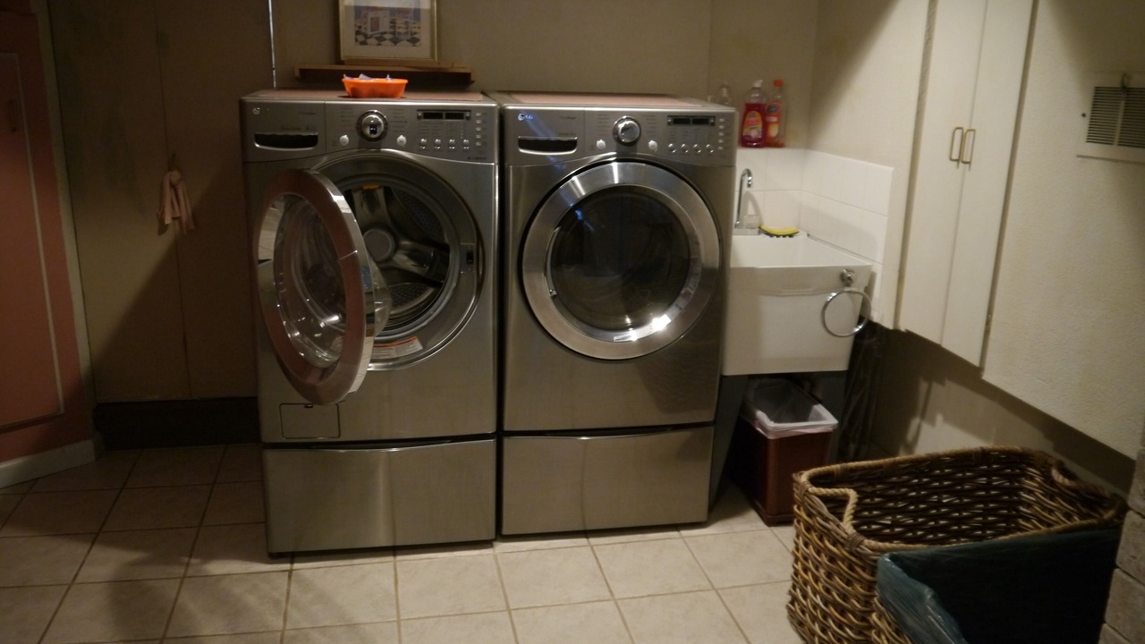 Photo of Others in Green Tree