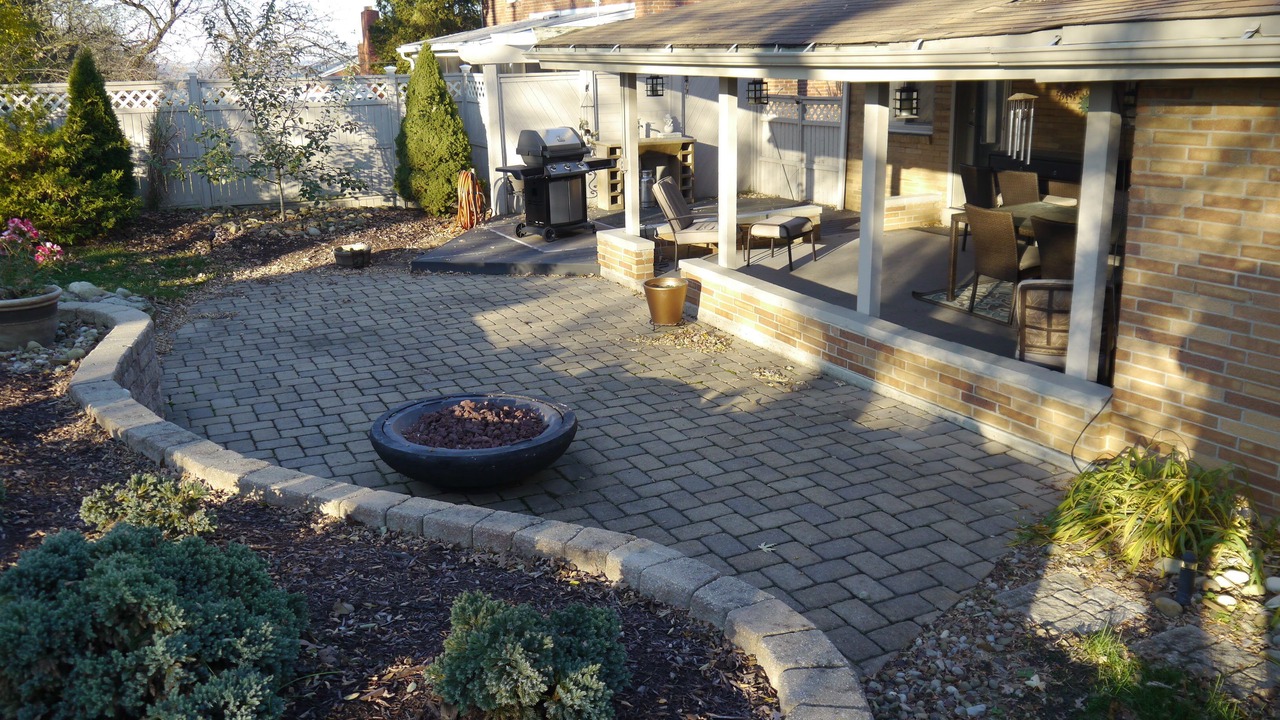 Photo of Others in Green Tree