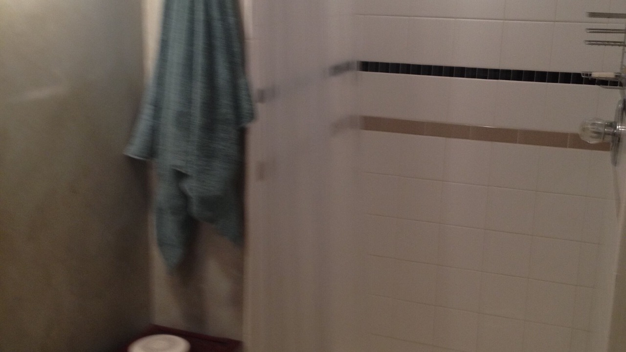 Photo of Others in Green Tree