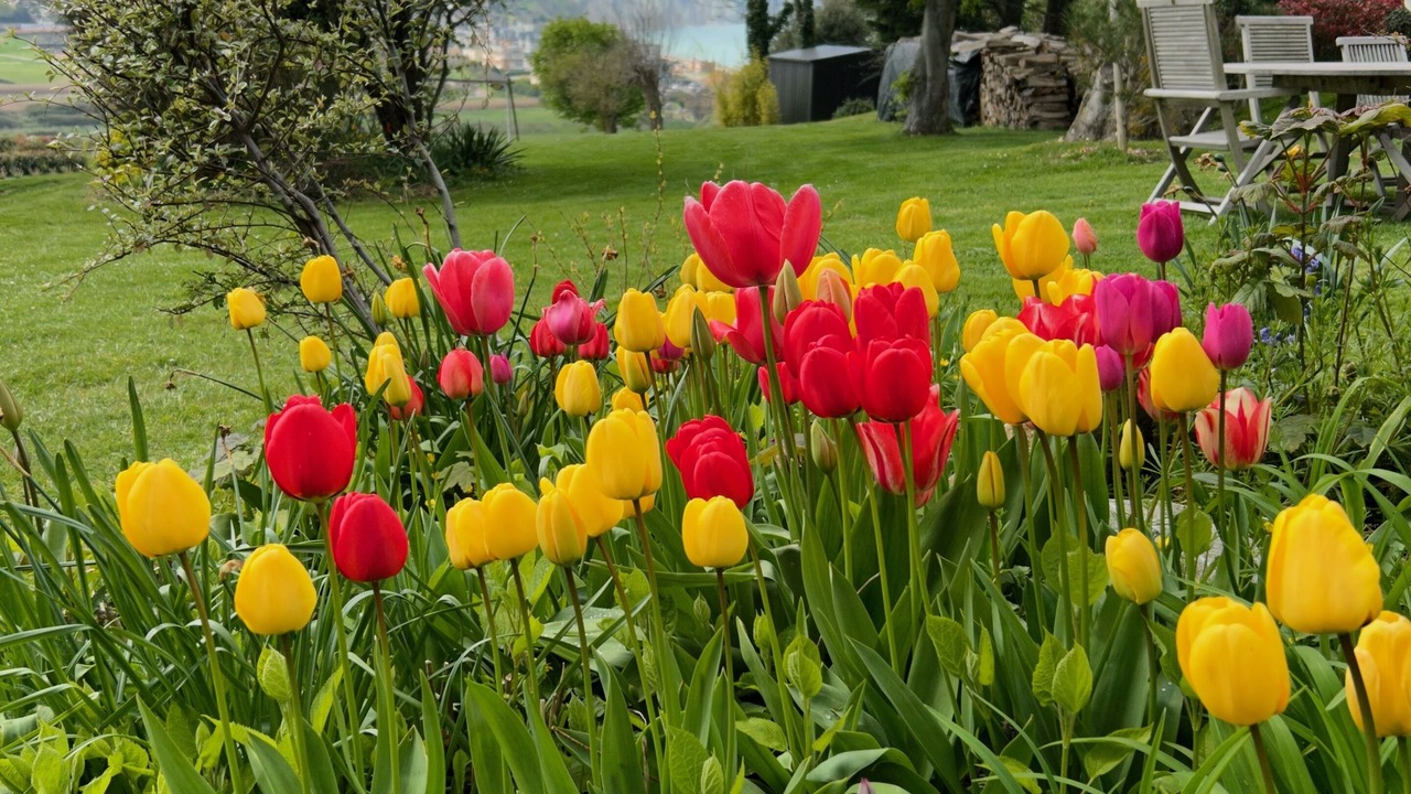 Photo of Outdoor in Pourville-sur-Mer