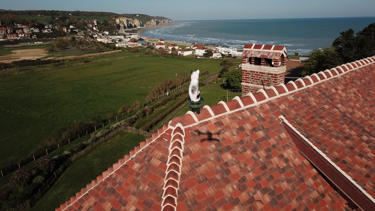 Photo of Others in Pourville-sur-Mer
