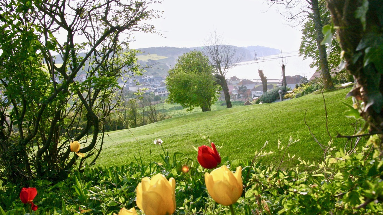 Photo of Outdoor in Pourville-sur-Mer