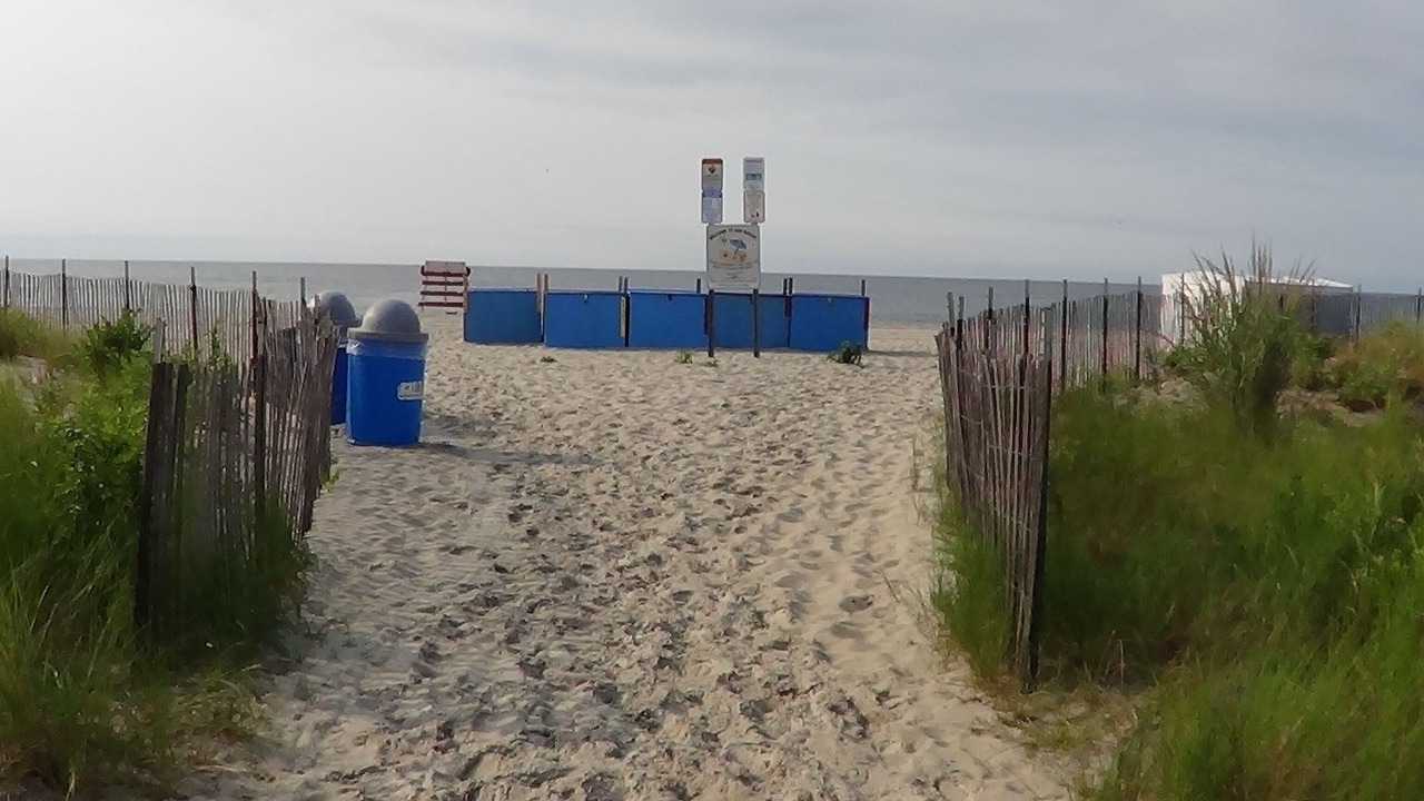 Photo of Others in Cape May