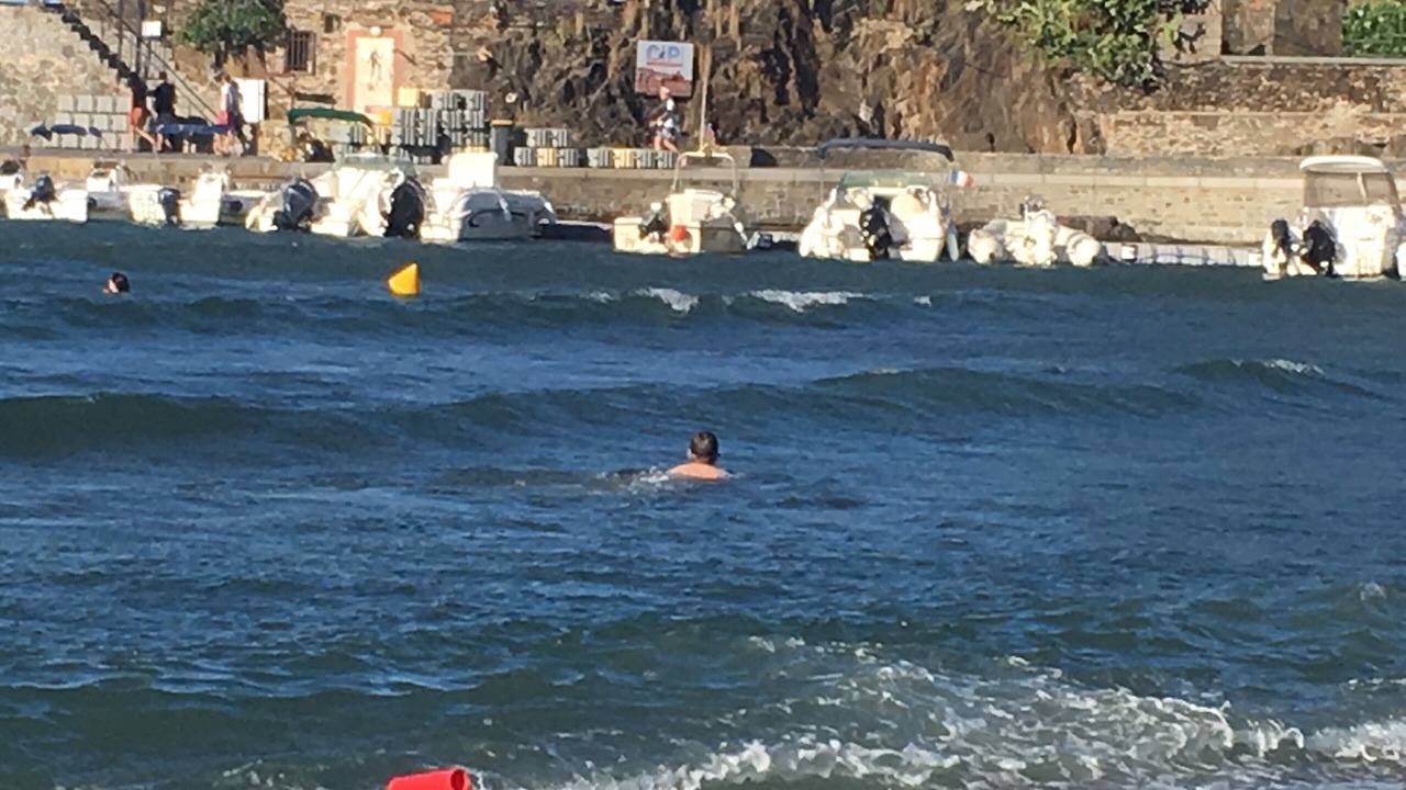 Photo of Others in Collioure