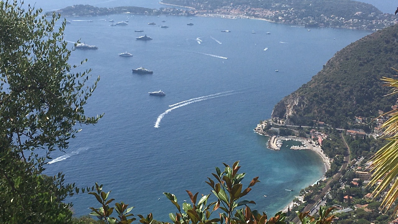 Photo of Outdoor in Collioure