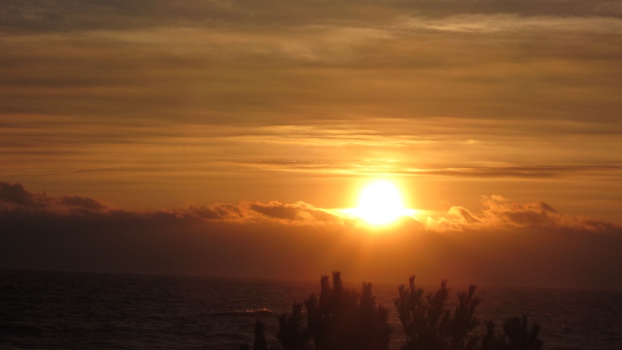 Photo of Others in Bethany Beach