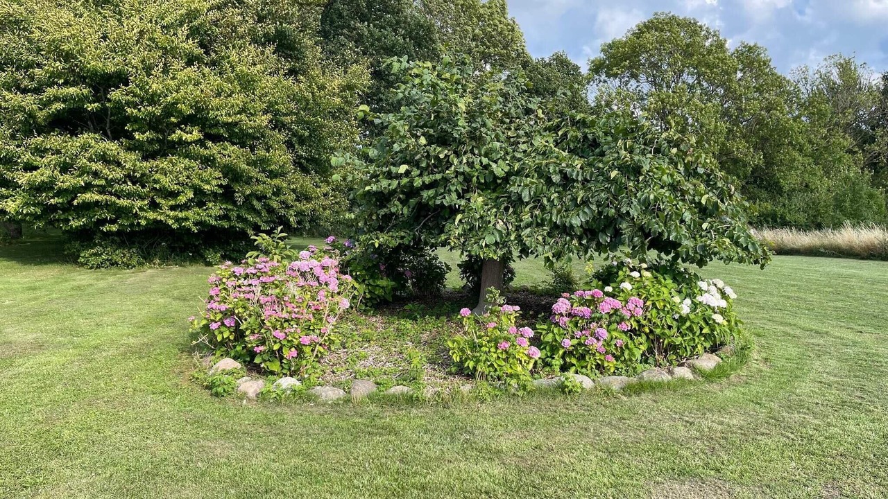 Photo of Outdoor in Togeholt