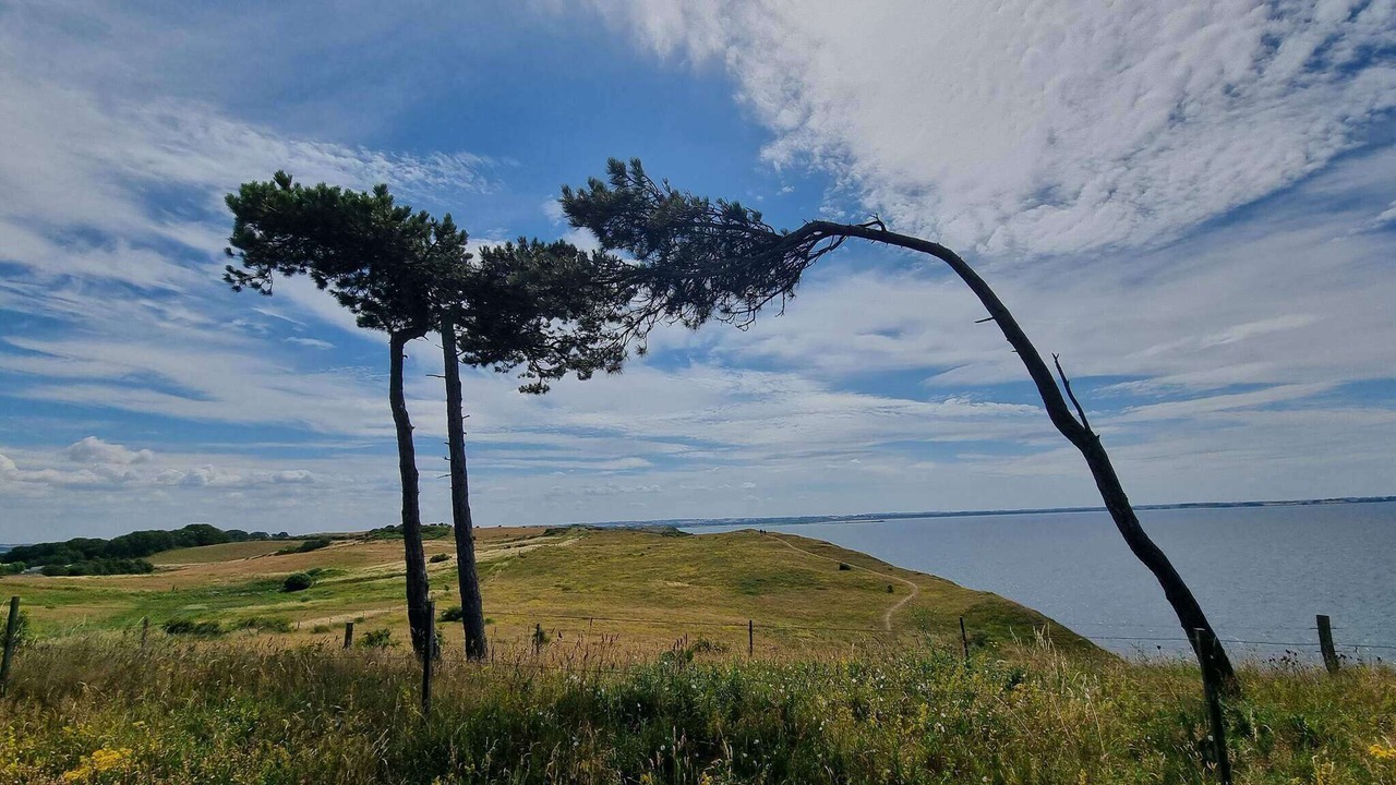 Photo of Others in Havnsø