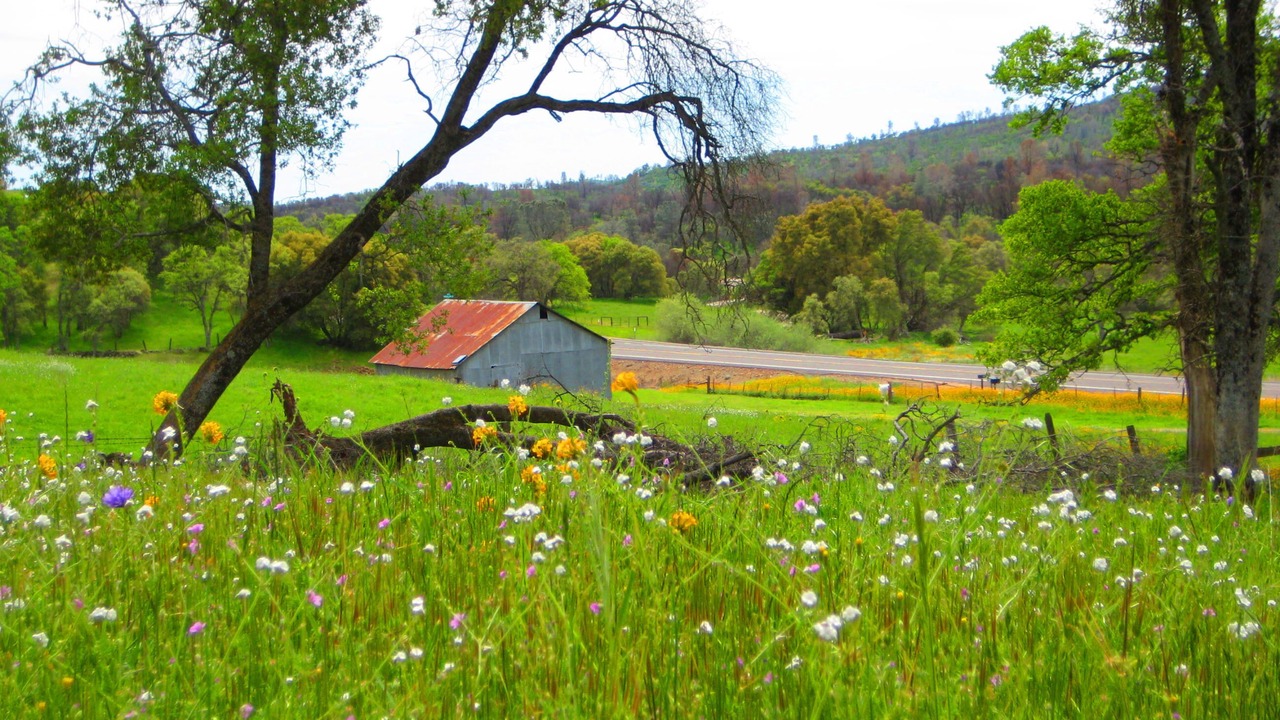 Photo of Outdoor in Mariposa