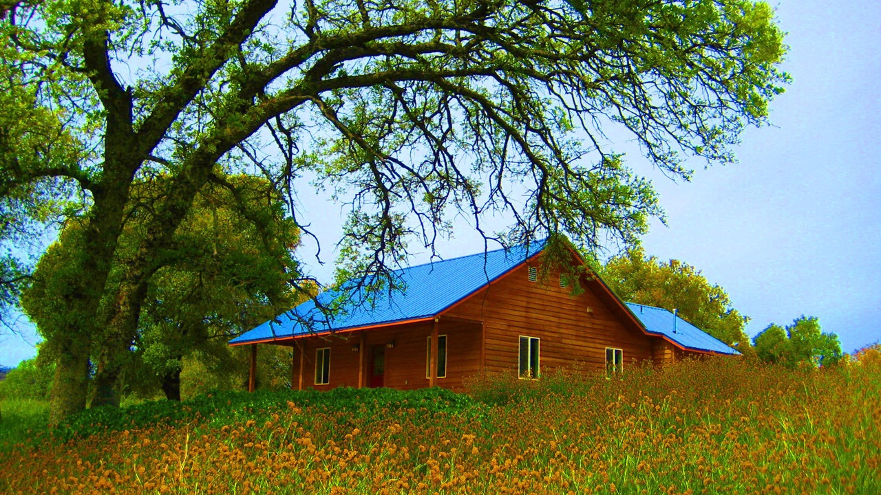 Photo of Outdoor in Mariposa