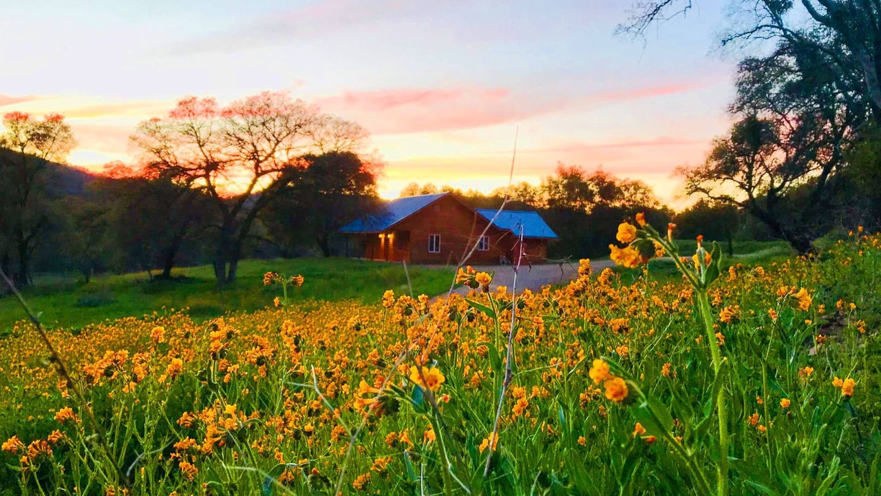 Photo of Outdoor in Mariposa