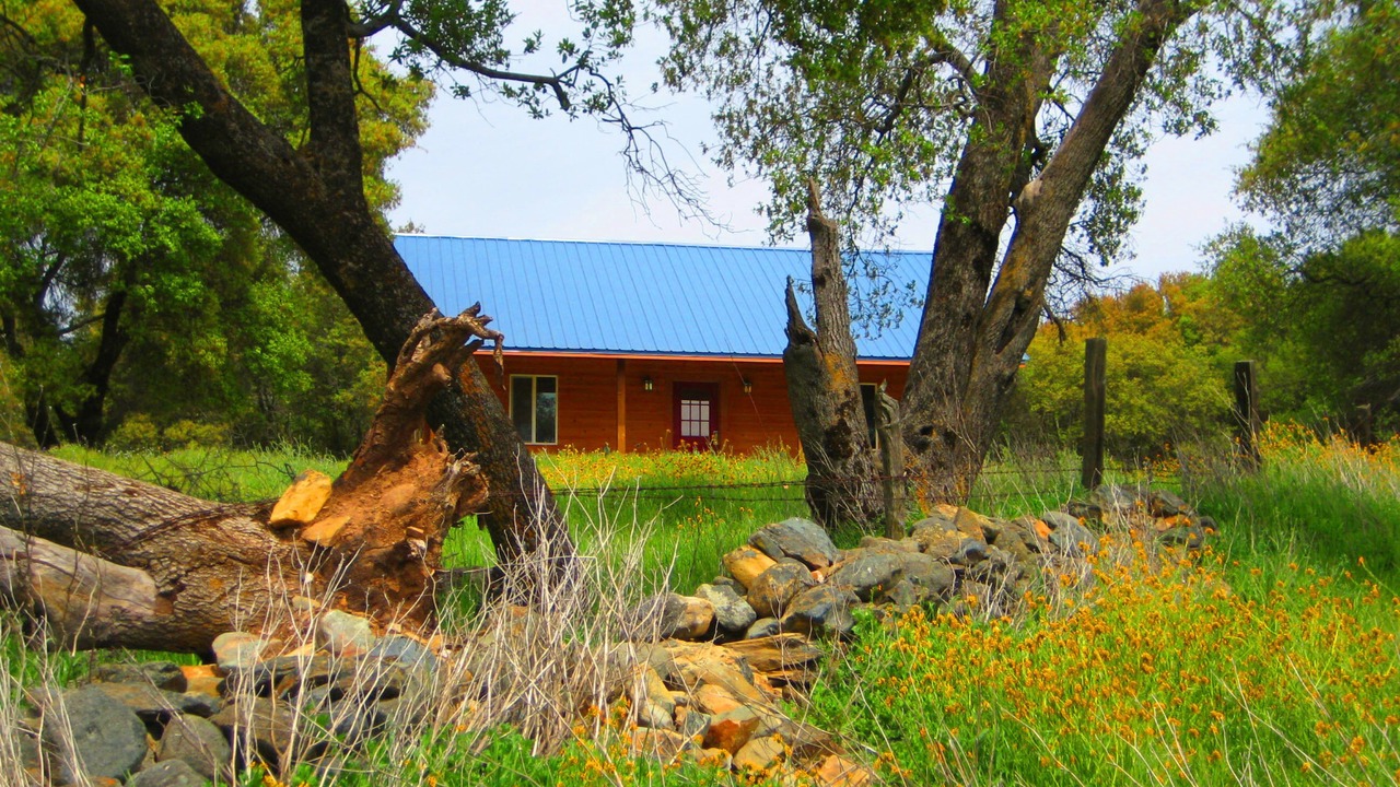 Photo of Outdoor in Mariposa