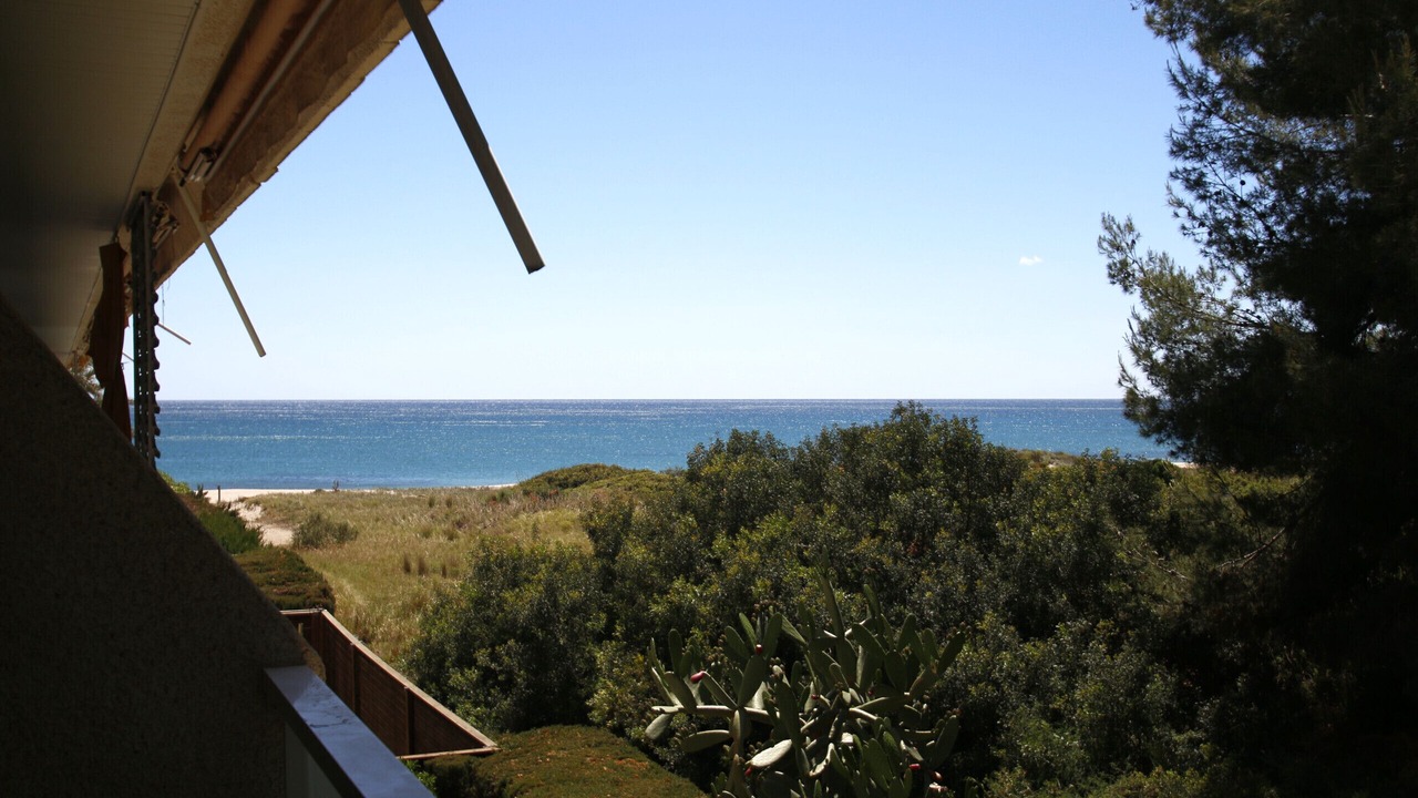 Photo of Outdoor in Parc de Mont-roig