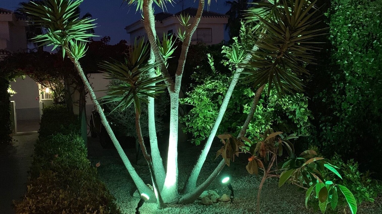 Photo of Outdoor in Playa Flamenca