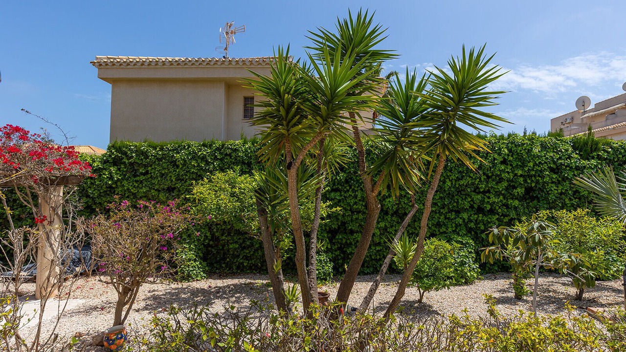 Photo of Outdoor in Playa Flamenca