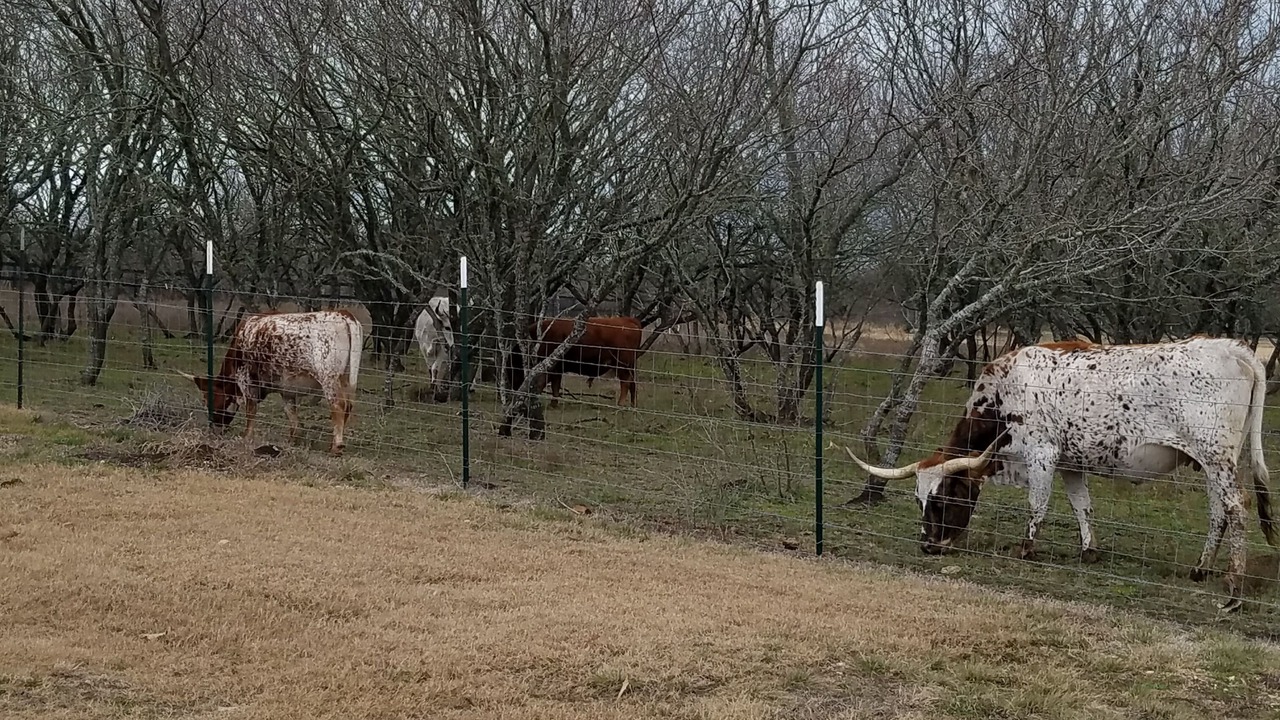 Photo of Outdoor in Kyle