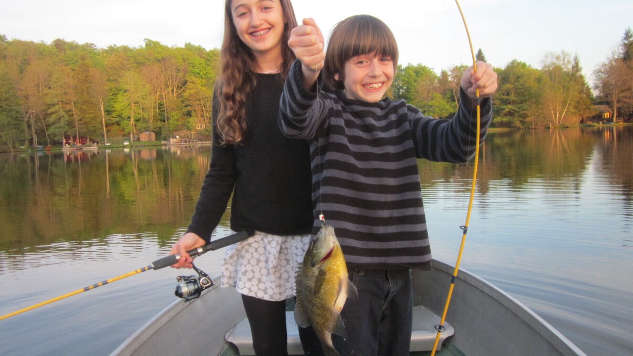 Photo of Others in Starrucca