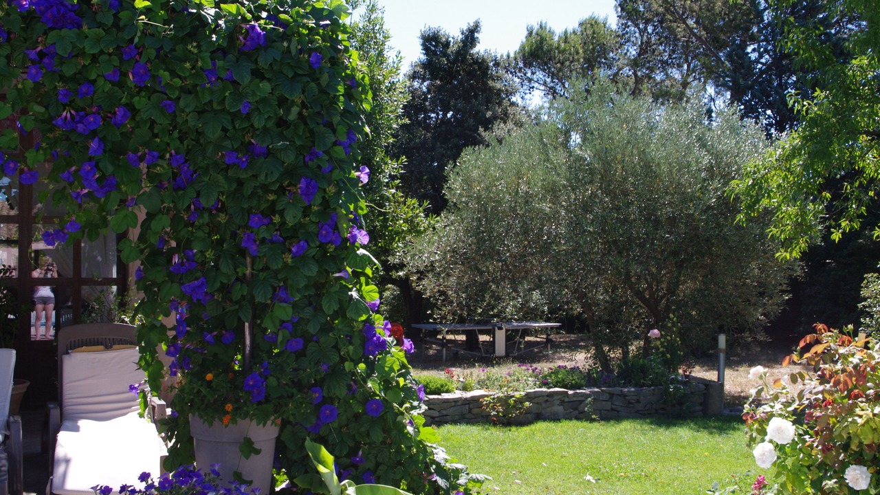 Photo of Outdoor in Les 3 Ponts