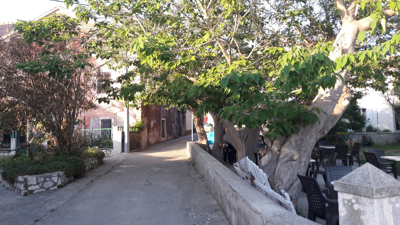 Photo of Outdoor in Unije