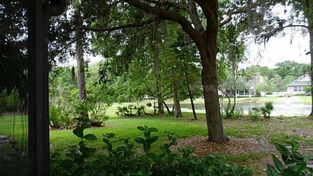 Photo of Outdoor in Saddlebrook