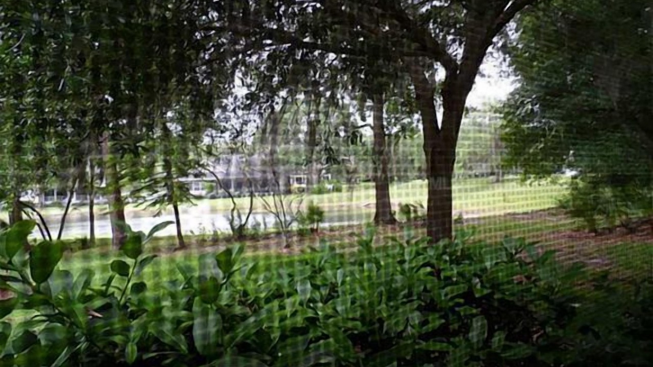 Photo of Outdoor in Saddlebrook