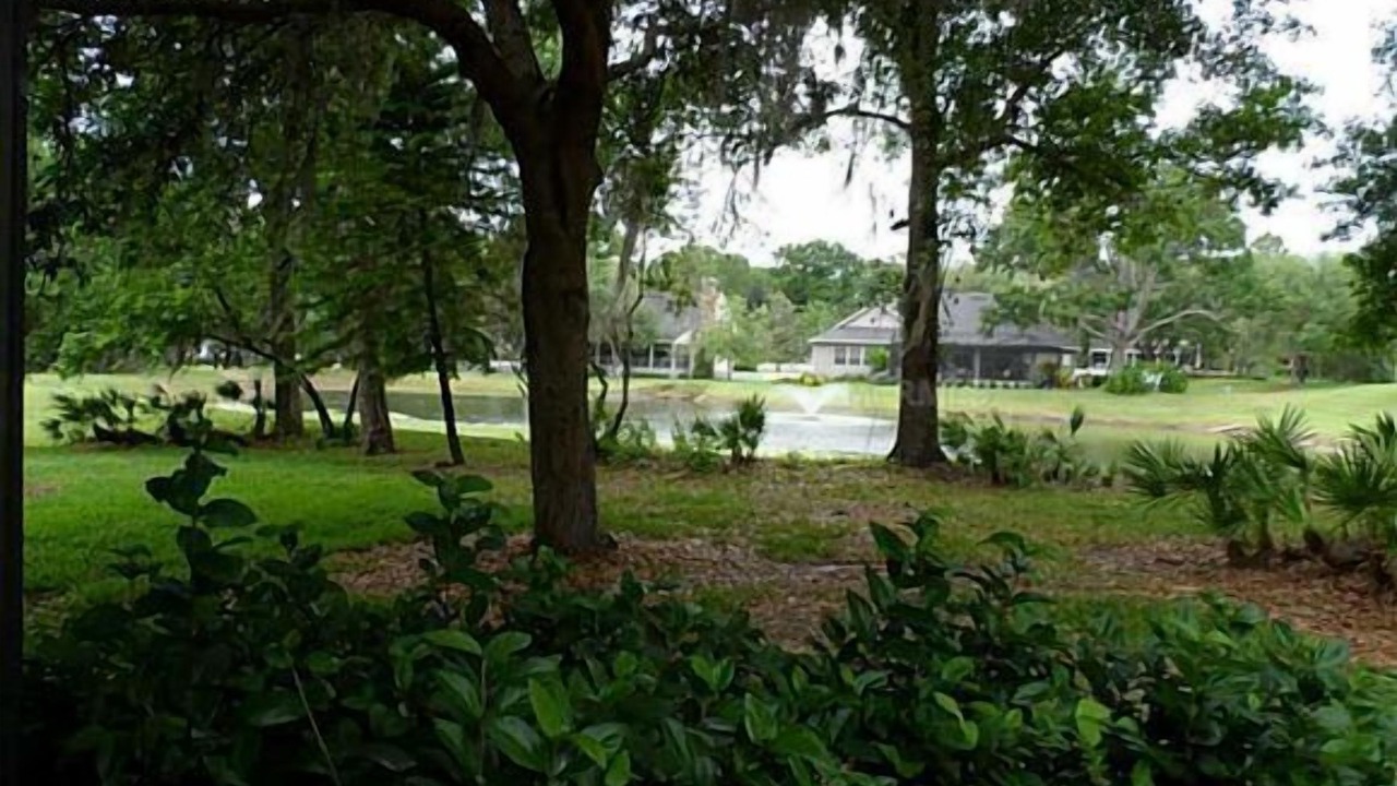 Photo of Outdoor in Saddlebrook