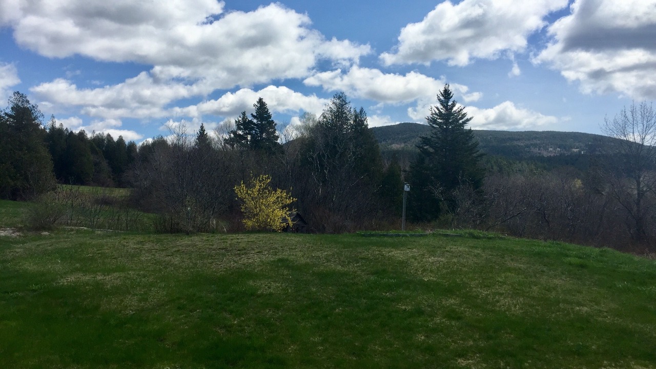 Photo of Outdoor in Seal Cove