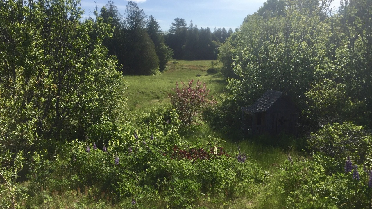 Photo of Outdoor in Seal Cove