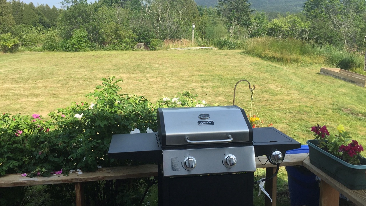 Photo of Outdoor in Seal Cove