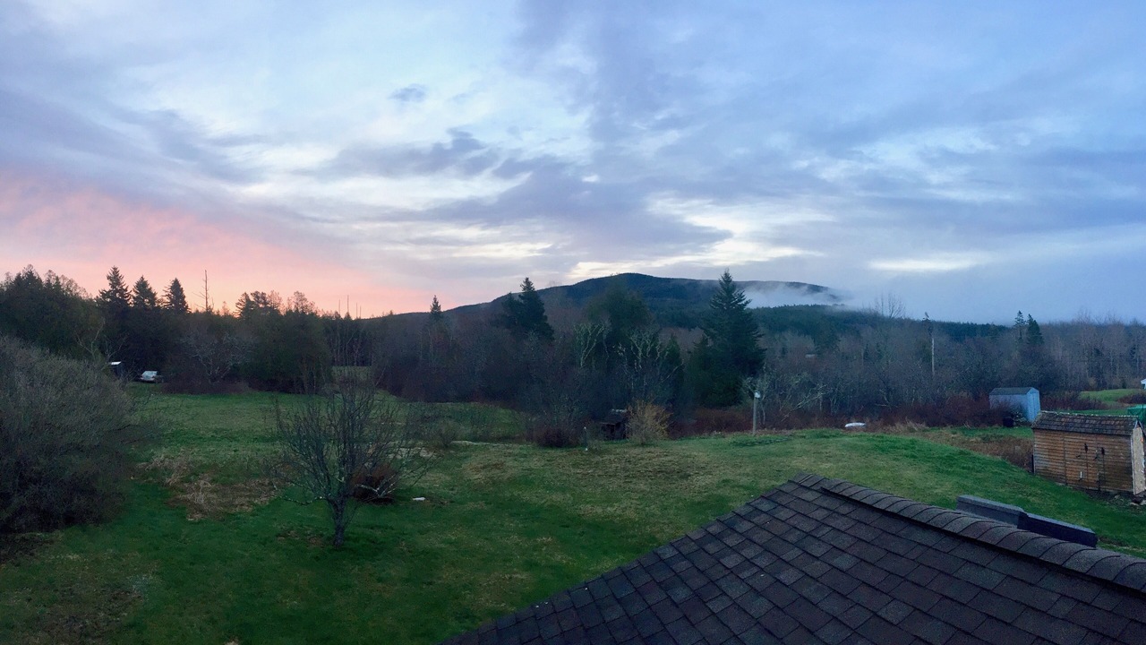 Photo of Others in Seal Cove