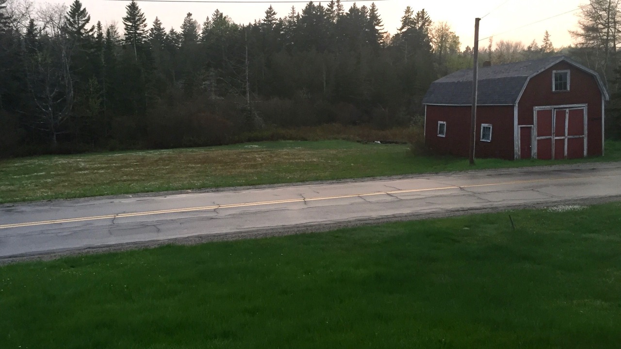 Photo of Others in Seal Cove