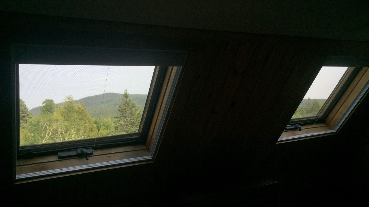 Photo of Others in Seal Cove