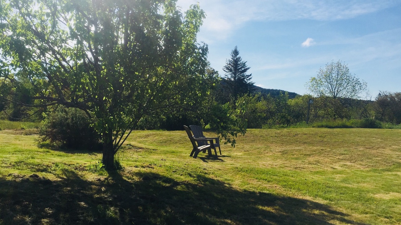 Photo of Outdoor in Seal Cove