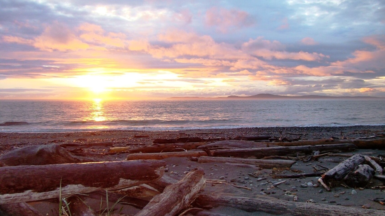 Photo of Others in Oak Harbor