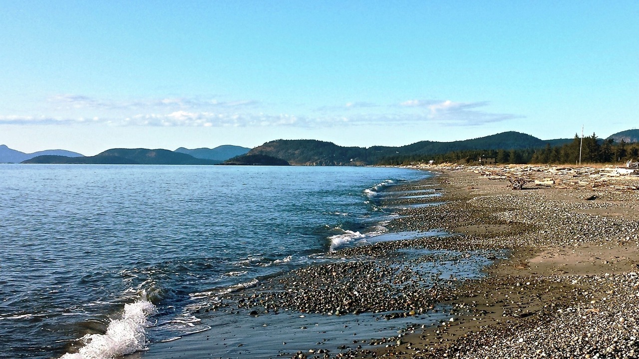 Photo of Others in Oak Harbor