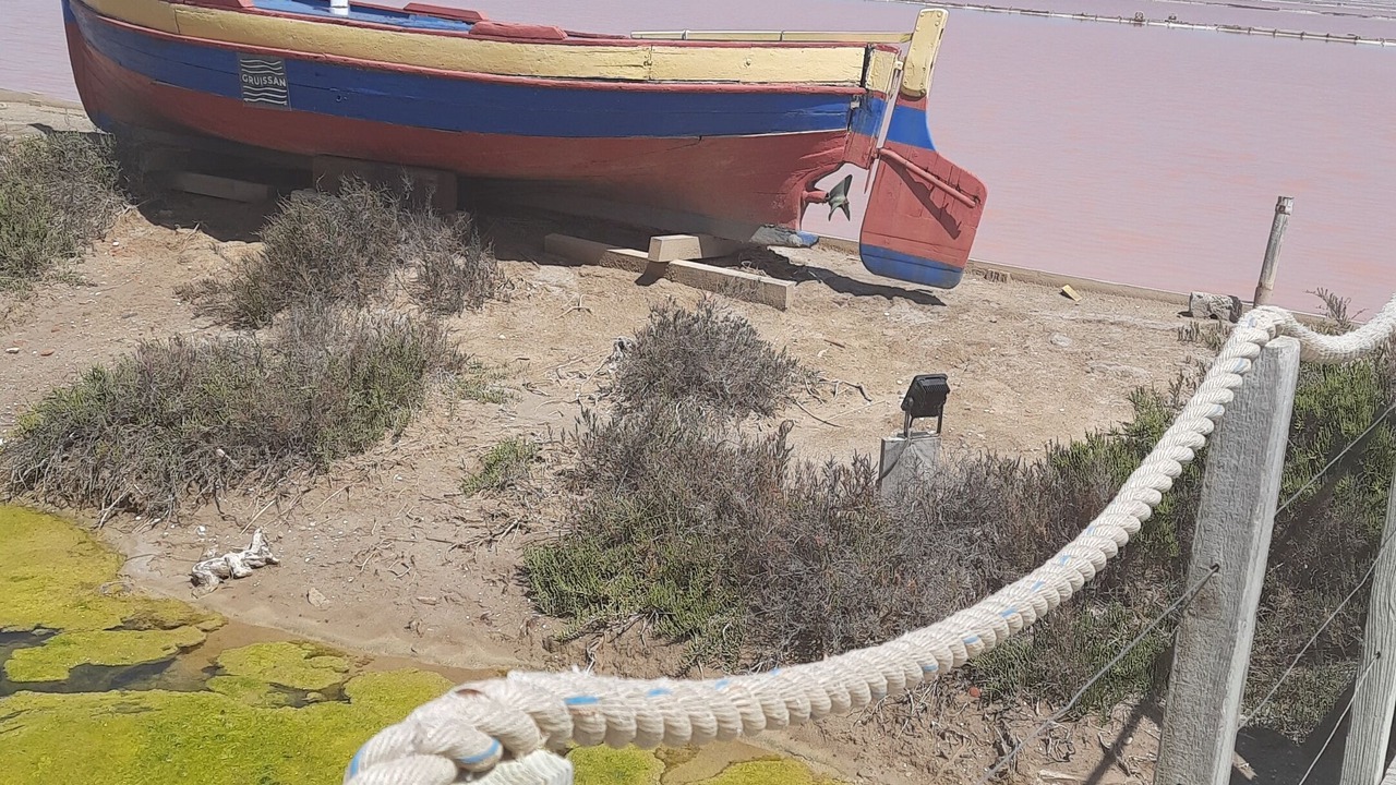 Photo of Others in Port Rive Gauche