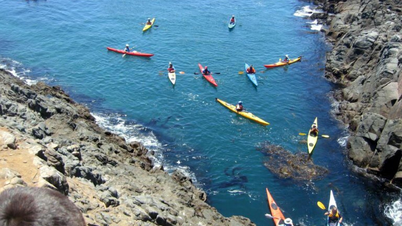 Photo of Others in Lengueta Arenosa