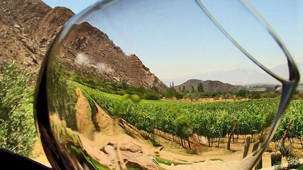 Photo of Others in Lengueta Arenosa