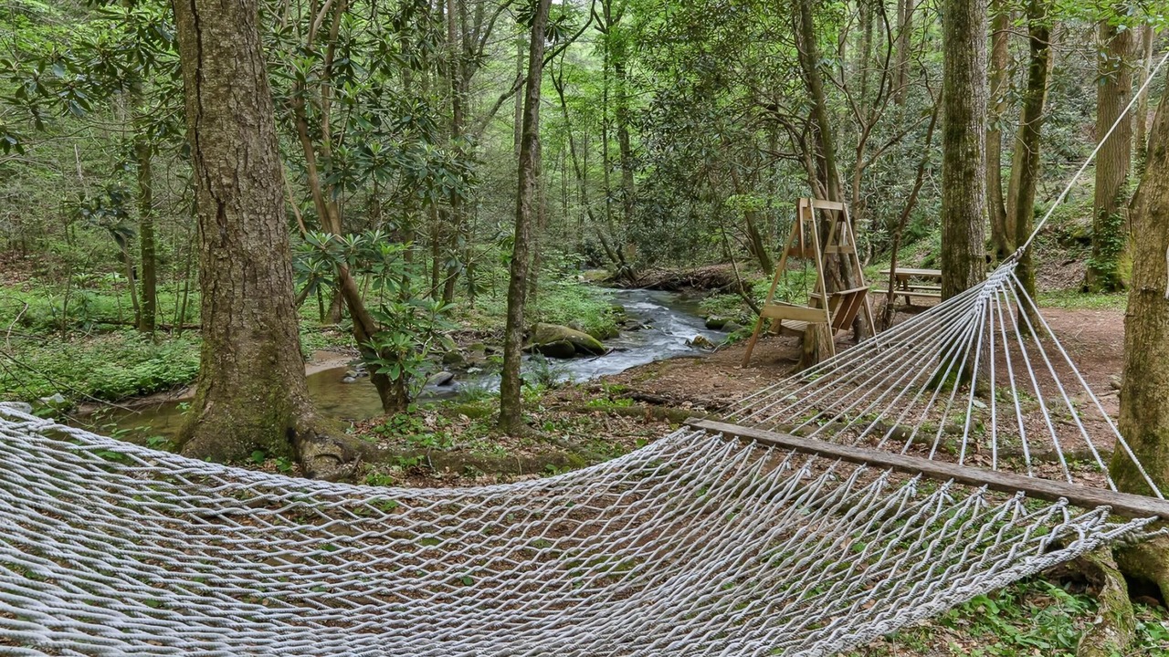 Photo of Others in Ellijay