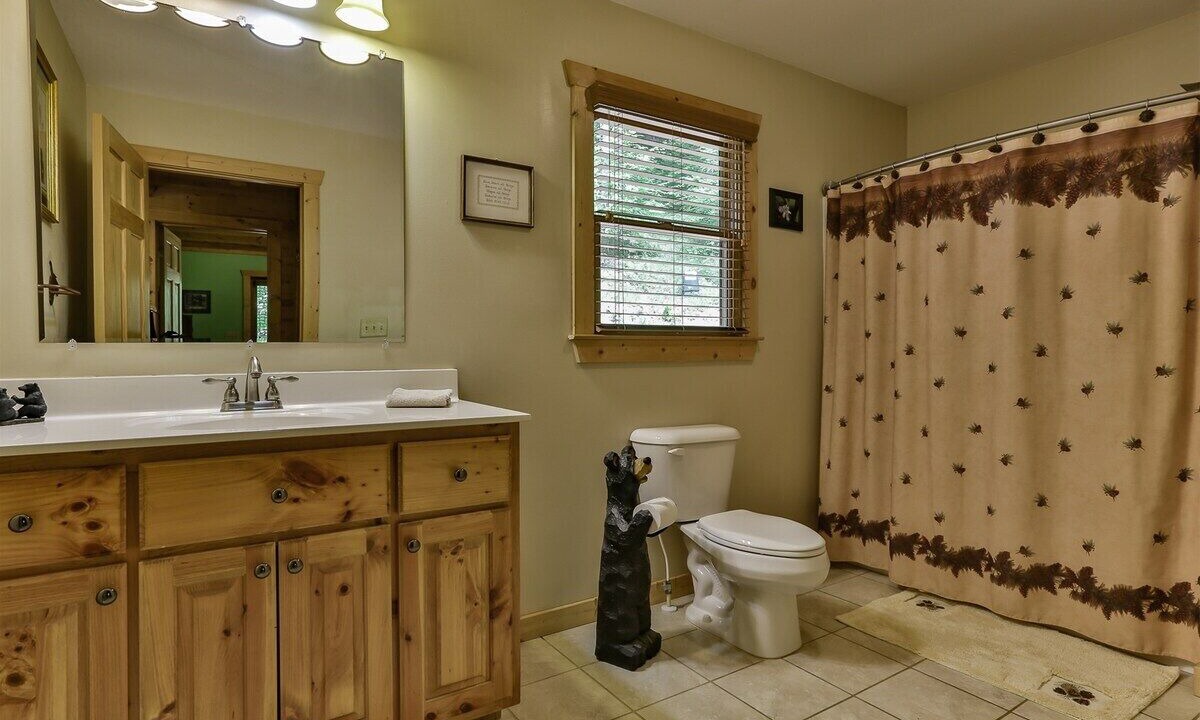 Photo of Bathroom in Ellijay
