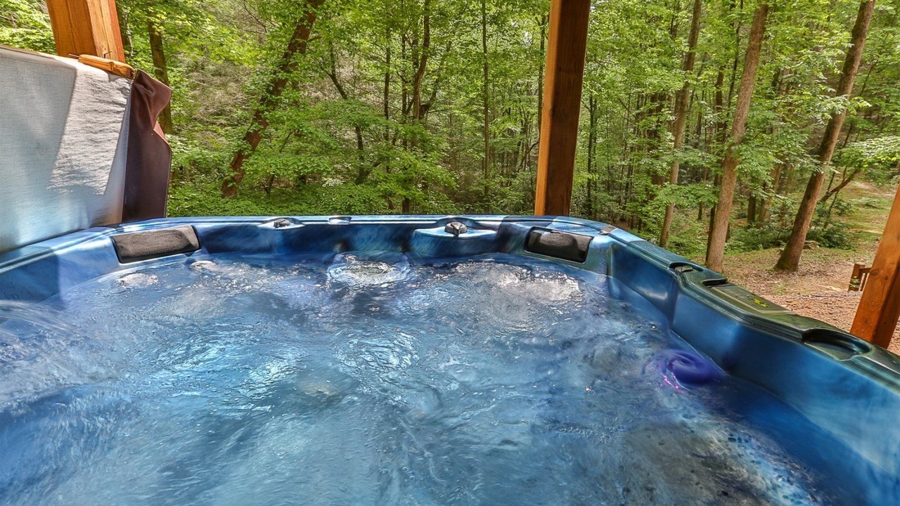 Photo of Others in Ellijay